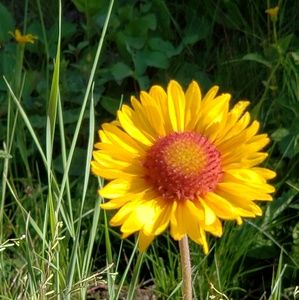 Meet your Posher, Mckenzie